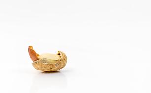 ripe delicious peanuts on a white background