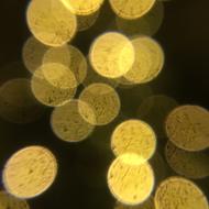 yellow bright light in circles
