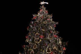 burning christmas tree in the dark
