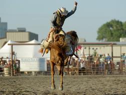 riding a horse in a western