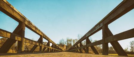 wooden bridge in the autumn spider web