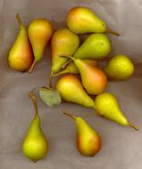 sweet delicious pears