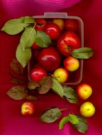 juicy healthy apples in a basket