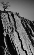 tall rock with a tree on top