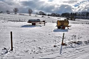 Winter Nature Snow