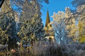 Trees Church Nature