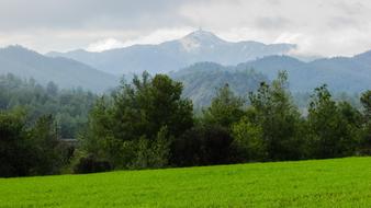 Meadow Trees Landscape