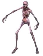 drawn scary zombie on a white background