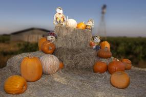 Autumn pumpkins by the hay
