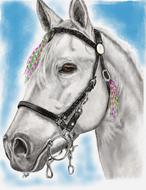 drawing of a white horse in a bridle