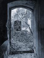 an old door leading into the woods