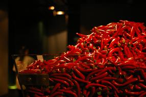chili peppers harvest