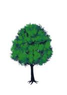 lush green tree drawing at white background