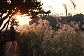 Coastal Jeju Island at Night View