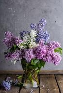 Lilac Bouquet in Vase
