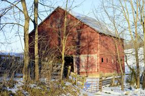 Red Barn at Snowy forest