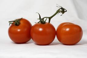 Fresh ripe tomatoes on a white background