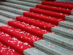 ed carpet on the stairs sprinkled with rose petals