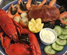Seafood and lime appetizer