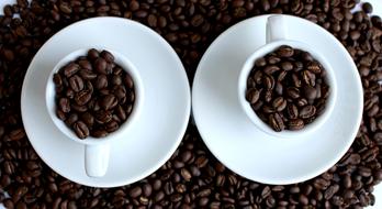 roasted coffee beans in mugs