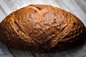 toasted homemade bread
