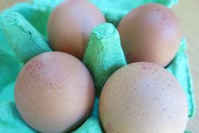 raw eggs in a box