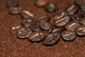 Close up of coffee beans