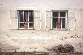 red flowers in the window of an old house