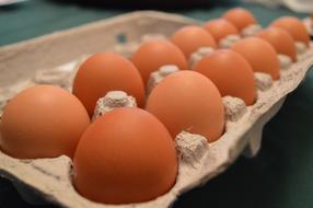 orange eggs in a box