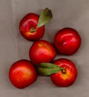 summer sweet peaches