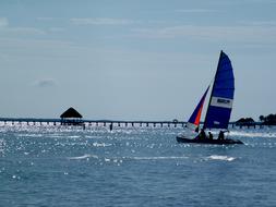 boat with a blue sailboat on the sea