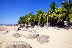 tropical beach sands