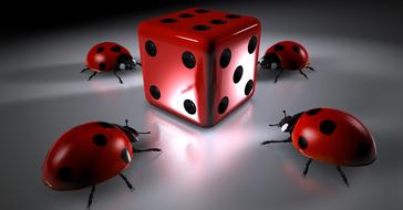red cube and ladybug