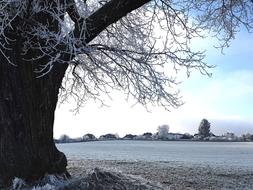 Winters Day Snow weather