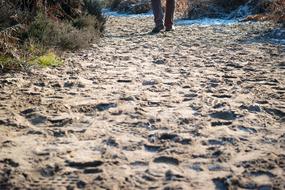 man walks on a sandy beach