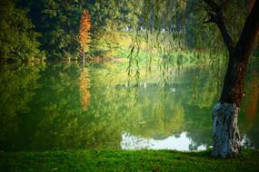 beautiful lake in the park