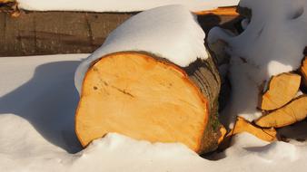 large logs covered with snow