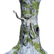 tree wood woman fantasy prisoner