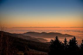 forest mountain sunset