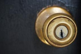 gold door handle with lock