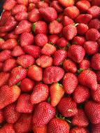 sweet red strawberry background