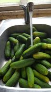 cucumber washing