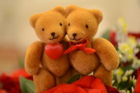 bears couple love love happiness