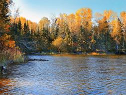 Autumn Lake Water