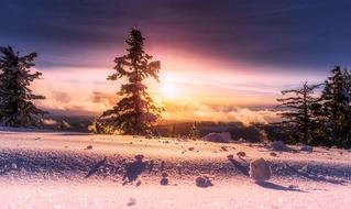 Sunrise Winter Snow