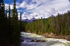 river in the wilderness