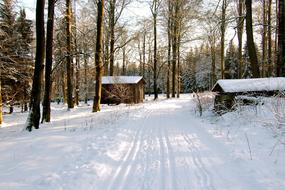 old village in the winter woods
