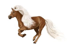 horse digital art