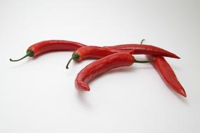 long red pepper on a white background