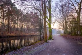 autumn calm forest with a river